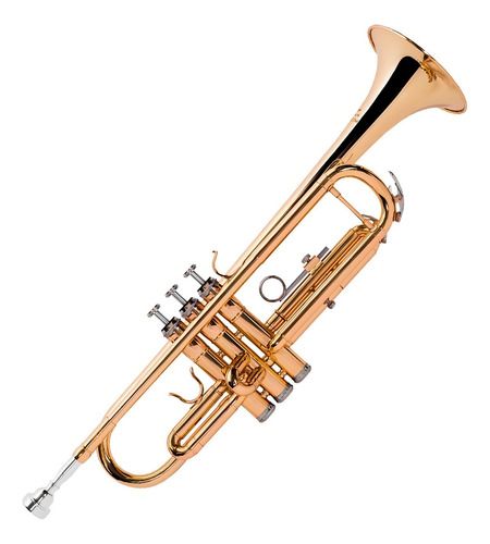 Trompete Michael WTRM30 3 Válvulas Laqueado com Capa Cor Dourado